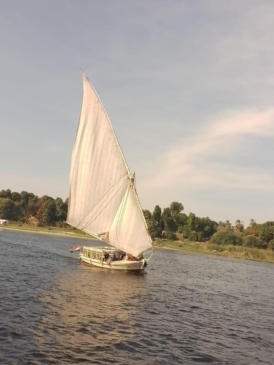 Hotel Nile Felucca Adventure Asuán Exteriér fotografie