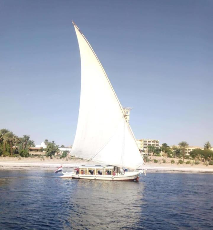 Hotel Nile Felucca Adventure Asuán Exteriér fotografie